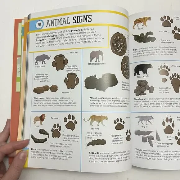 Survival A Step By Step Guide To Camping And Outdoor Skills Paperback DK Publish - Picture 8 of 13